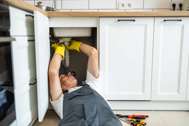 Best Commercial Plumbing Services  in Menahga, MN