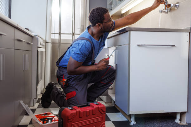 Best Toilet Repair Services  in Menahga, MN
